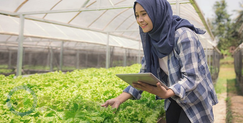 Peluang Bisnis Pertanian yang Menjanjikan di Masa Depan